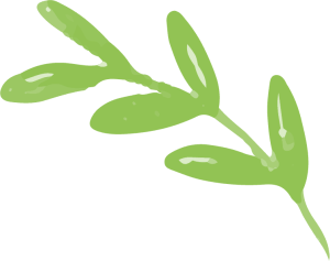 Puresto Chana Dal Leaf