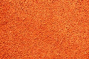 High-resolution macro image of red lentils, focusing on texture and color.